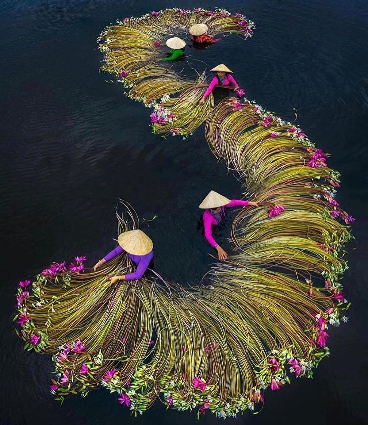 Tarihi 2500 yıl öncesine dayanan ülke, 19. yüzyılda Fransız sömürgesi altına girdi. 1945’te Ho Chi Minh önderliğinde cumhuriyet ilan edilse de ülke önce ikiye bölündü, daha sonra da Amerika’nın dahil olduğu bir iç savaş başladı ve 1975’e kadar devam etti. Fakat Amerika’nın tüm gücüne rağmen savaşı Vietnamlılar kazandı. Bugün Vietnam, savaşın izlerini silip popüler bir turizm destinasyonu olma konusunda hızlı adımlar atıyor.⠀