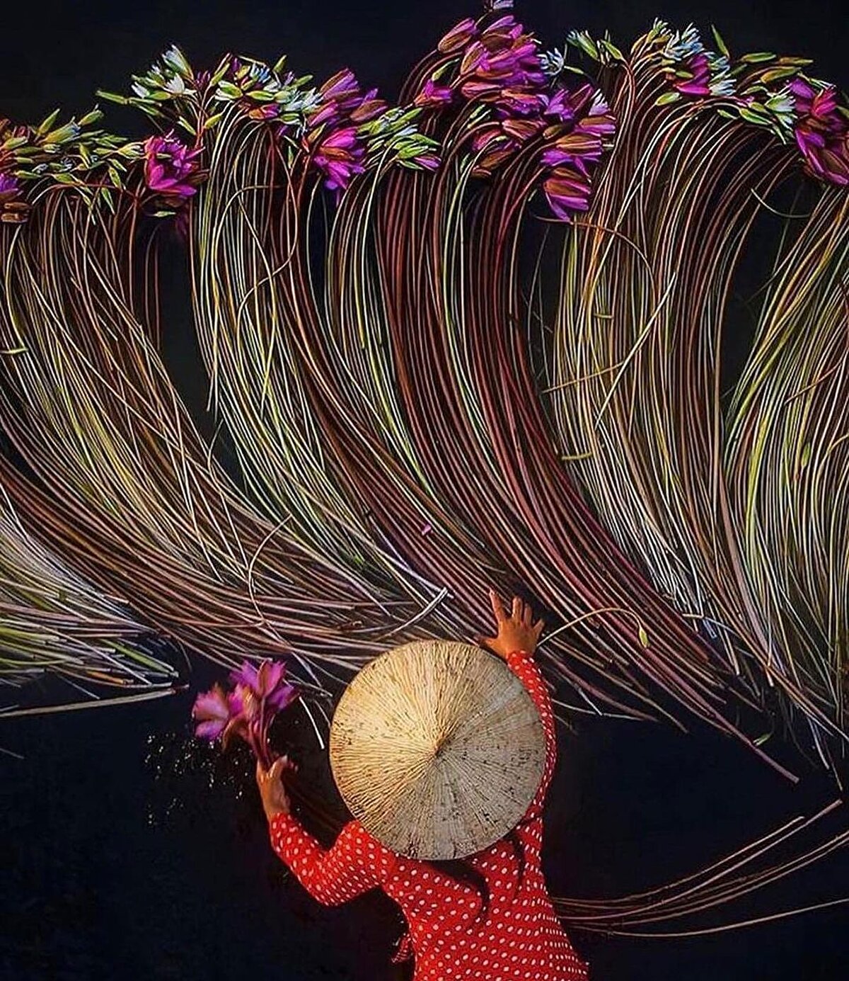 Tam adı Vietnam Sosyalist Cumhuriyeti, kuzeyde Çin, batısında Kamboçya ve Laos, güneyinde ve doğusunda ise Güney Çin Denizi ile çevrili bir ülke. Çoğunlukla dağlık bir coğrafi yapısı olan Vietnam, Mekong Deltası ve Song-Koi Deltası çevresinde tarım yapılabilir alçak düzlüklere sahip. Ülkede pirinç ve kahve ana tarım ürünlerinin mısır, çay gibi ürünler de yetiştirilir. Vietnam, Robusta kahve çekirdeğinin dünyadaki en büyük üreticisi ve dünyaya kahve ihraç eden ikinci büyük ülke.⠀