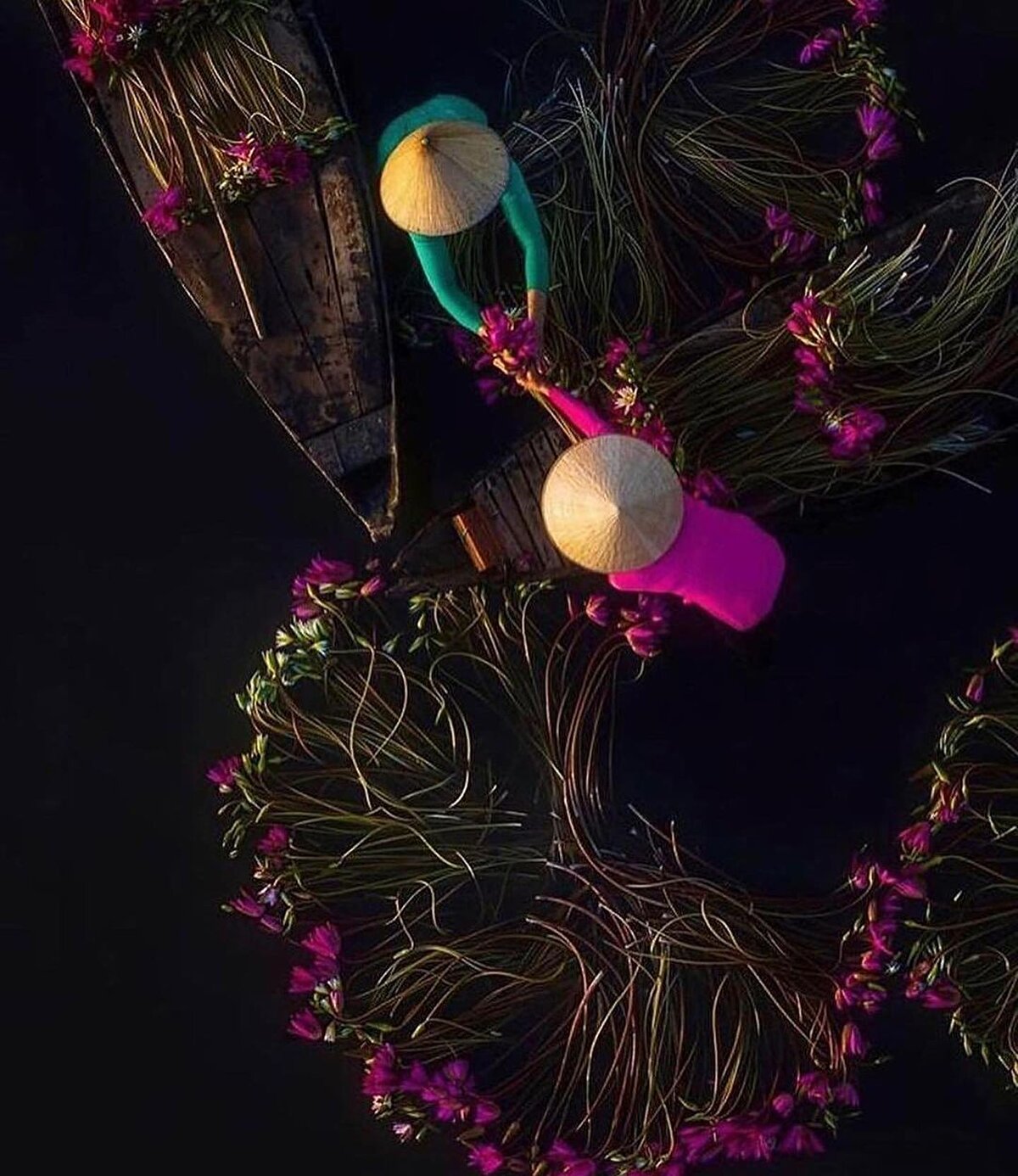 We thank @phtrung0611 these great photos. ✨⠀