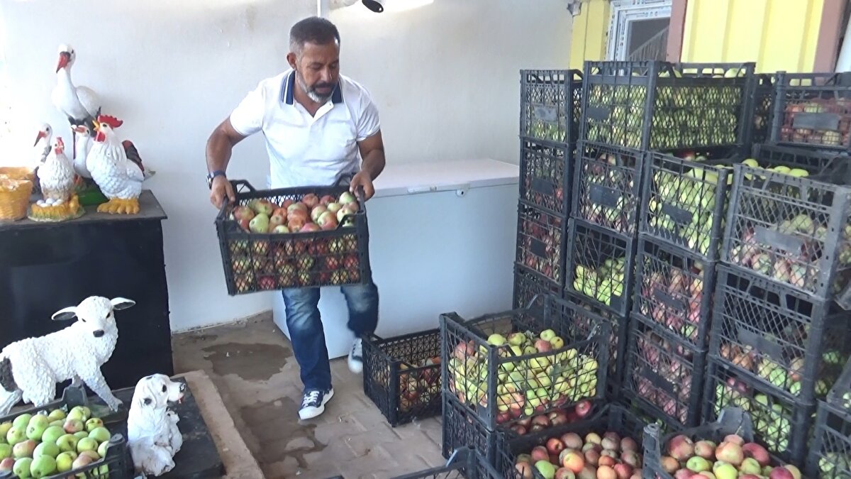 Market zincirlerinde ve pazarda kilosu 9- 10 liradan satılan elmaların bir kısmını Hazar Gölü ortasından bulunan küçük bir adadaki martı ve tavşanlara veren Yüksel, geri kalan elmaları ise vatandaşlara ücretsiz dağıttı.