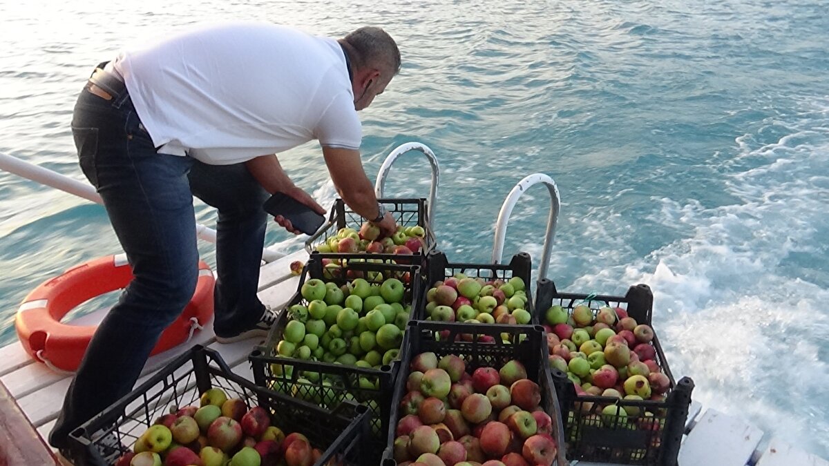 Üreticilerin sırtında para kazanan fırsatçılara sert tepki gösteren Yüksel, “Bu market zincirleri ve komisyoncularla anlaşamadık. Bana 1 liradan fazla ücret veremeyeceklerini aktardılar. Sertifikalı ürün olduğu için market zincirleri kendi tezgahlarında rahat bir şekilde satabilirler. Fakat benden 1 liradan alıp yüzde 900'lere varan bir fiyat artışı yaparak üzerimden para kazanacaklar. Ben de bunu 1 liradan kesinlikle satmamaya karar verdim. Bu elmaları markete gidip 9 veya 10 liradan elma alamayan mağdur insanlara hediye edeceğim, tepkimi böyle göstereceğim. Ayrıca Hazar Gölünde bir ada bulunuyor bu elmaların bir kısmını da gidip orada martılara ve tavşanların yemesi için bırakacağım" diye konuştu.