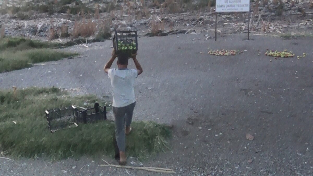 Yüksel, fırsatçılara bir an önce gereken girişimlerde bulunulması, adaletin sağlanması ve zor durumda olan üreticilere destek verilmesi yönünde yasa çıkarılması çağrısında bulunarak, daha sonra elmaların bir kısmını feribotla Hazar Gölü ortasında bulunan adaya taşıyarak burada bulunan tavşanların ve martıların yemesi için bırakırken, geri kalan elmaları ise Elazığ ve Diyarbakır'da maddi durumu olmayan vatandaşlara dağıttı.