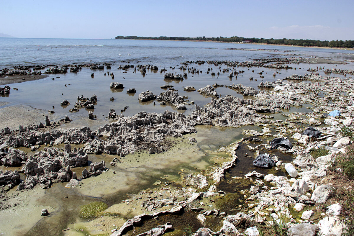Su derinliğinin daha az olduğu Çelibibağ bölgesinde yaklaşık 3 metrelik bir düşüşün yaşandığını belirten Akkuş, şunları söyledi:
"Ülkemizde birçok gölün tamamen kuruduğu yönünde haberler alıyoruz, Akşehir Gölü gibi. Fakat Van Gölü diğer göllere göre daha hassas. Yazın buharlaşmayla gölden su uzaklaşıyor, kışın ve sonbaharda da kar ve yağmurların başlamasıyla su girdisi oluyor. Buharlaşmanın fazla olduğu yıllarda gölün su seviyesi düşerken, yağışın fazla olduğu yıllarda su seviyesi yükseliyor."