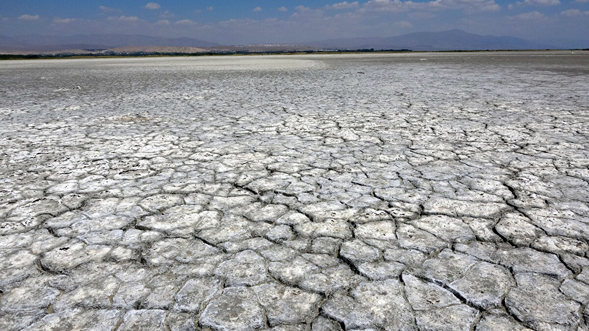 Bölgedeki birçok dere ve gölet gibi Van Gölü'nde de kuraklığın etkisi görülüyor. Gölün çekilmesiyle daha önce su altındaki bazı bölgeler ve mikrobiyalitler yeniden yüzeye çıkmaya başladı.