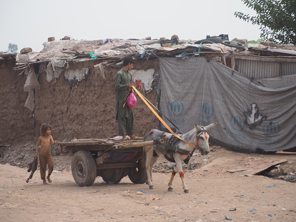 Afgan mültecilerinin yüzde 69'u kent ve kent çevrelerindeki varoş bölgelerde yaşarken, kalanı ise kendileri için kurulan 54 mülteci kampında hayat sürüyor.

