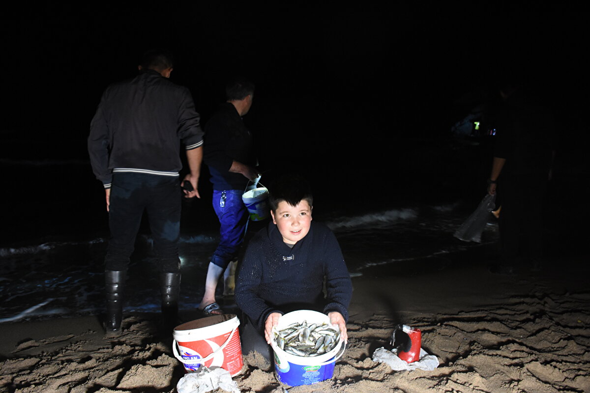 Köy sakinlerinden Nevzat Yelkenci de denizin ani soğuması nedeniyle tonlarca istavritin sahile vurduğunu ve birçok kişi gibi kendisinin de kovalarla sahile geldiğini belirterek, "Burada 100 kilo toplayan var. Daha önce de bu olayı yaşamıştık ama böylesi olmamıştı." ifadesini kullandı.
