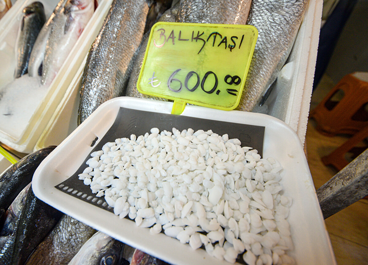 Balık familyaları içerisinde eşkina ailesinde bu taş büyüktür. Geçmişten bu yana bilinen eşkina balıklarının otolitini çıkarıp, kurutup, havanda dövdükten sonra toz haline getirilip, limon sıkılarak tüketilmesinin böbrek taşına iyi geldiği bilinir. Özellikle bu konuda yapılan bilimsel araştırma yok. Ama böbrek taşı düşürmek için kullanıldığını biliyoruz. Beyaz renkli, tırnak büyüklüğünde balığın kemik yapısında bulunan taş, kalsiyum karbonattan oluşuyor. Böbrek taşını düşürdüğüne dair çok fazla söylem var. Bunun bilimsel olarak araştırılıp ispatlanması gerekiyor. Granyoz, eşkina, karakulak balıklarında otolit çok büyüktür. Böbrek taşını düşürmede kullanılan otolit, eşkina balığı otolitidir. Aynı familyadan olduğu için karakulak ve granyozun otolitinin çıkarılıp satılıp kullanıldığını görüyoruz.