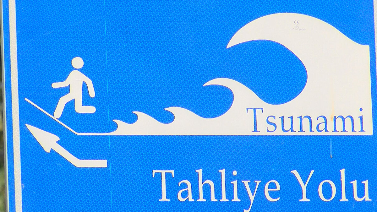 ''Tsunami kıyıya, vatandaşa ve deniz yapılarına ciddi hasar verebilir. Buraların tsunamiye karşı ne kadar dayanıklı olduğu konusunda incelemeler yapılması gerekiyor. Hatta tesislerin tsunami raporları alması gerekiyor. Biz bu zamana kadar insanlara ancak tsunaminin varlığını kabul ettirebildik. Türkiye'de tsunami olabileceğinin varlığı yeni yeni oluşmaya başladı. Bu zamana kadar 'tsunami açık denizlerde olur, kapalı denizlerde olmaz' gibi bilgisiz, cahilce cümleler kuruldu. Ancak bu doğru değil. Marmara Denizi gibi iç denizlerde de tsunami olabilir.''