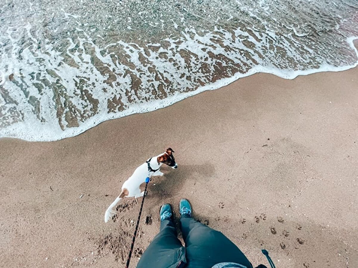 Çek öğrenci Nicolette Havlova, Çekya'nın Havirov kasabasından 104 gün önce İstanbul'a başlattığı yürüyüşü tamamladı. 2 bin 25 kilometrelik yolculuk boyunca Slovakya, Macaristan, Romanya, Sırbistan ve Bulgaristan'dan geçen genç gezgin yürüyüşünü Ayasofya-i Kebir Cami-i Şerifi önünde tamamlarken, gözyaşlarını tutamadı. Nicolette Havlova, Çek basınına yaptığı açıklamalarda, “Yolculuğum boyunca birçok zorluklarla karşılaştım. Bazen ayıların ayak izleri, bazen de beni kovalayan çoban köpekleri nedeniyle zor anlar yaşadım. Hava değişiklikleri ve ülkelere göre değişen yemekler nedeniyle hastalanıp hastanelere gitmek zorunda kaldım. Türkiye'ye gitme konusunda da çeşitli endişelerim vardı fakat şunu söylemeliyim ki insanlar çok misafirperverdi, büyük saygı ve hürmetle yaklaştılar. Beni düğüne bile davet ettiler. Endişelerimin yersiz olduğunu anladım dedi.