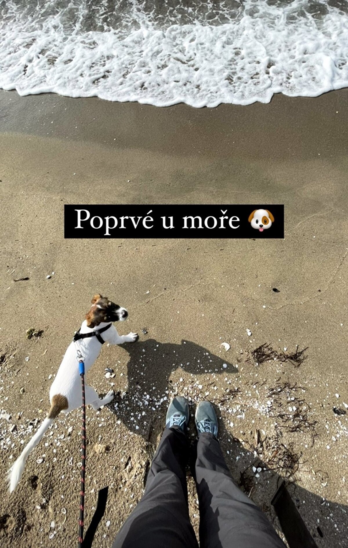 Romanya'nın Banat bölgesinde geçimlerini turizmden sağlayan ve pandemi döneminde zor günler geçiren Çek azınlıklara yardım amacıyla başlattığı yürüyüş öncesi düzenlenen organizasyonda genç gezgin, Çekya'da faaliyet gösteren bir kamu yardım platformunda toplanan 168 bin Çek kronunu (yaklaşık 6 bin 700 euro) köylülere teslim etti.