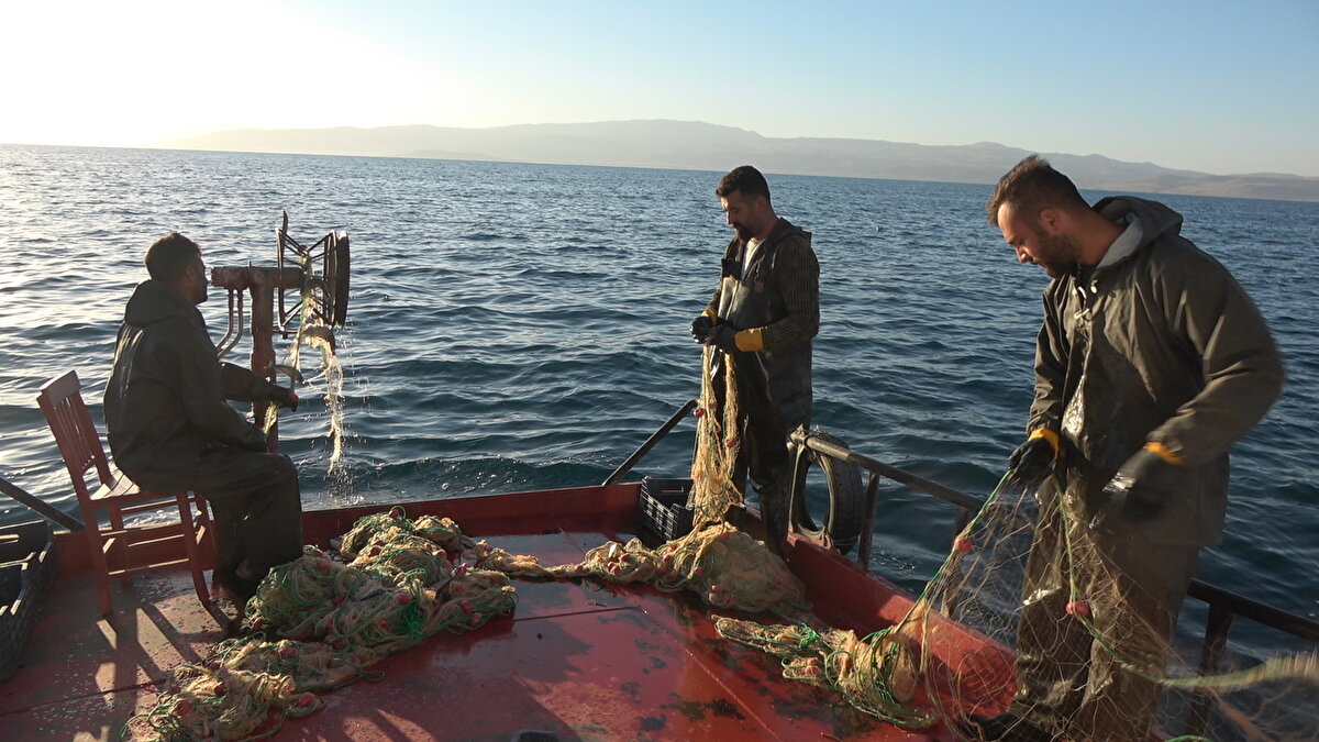 30 yıldır Van Gölü'nde balıkçılık yaptığını ifade eden Nedim Arslan da "Havaların kurak geçmesi nedeniyle gölün suyu çok çekildi. Teknelerimiz limanda mahsur kaldı. Belediyeden yardım istedik ve iş makinesi yardımıyla teknelerimizi suyla buluşturduk. Suyun çekilmesi bizleri tedirgin ediyor" şeklinde konuştu.
