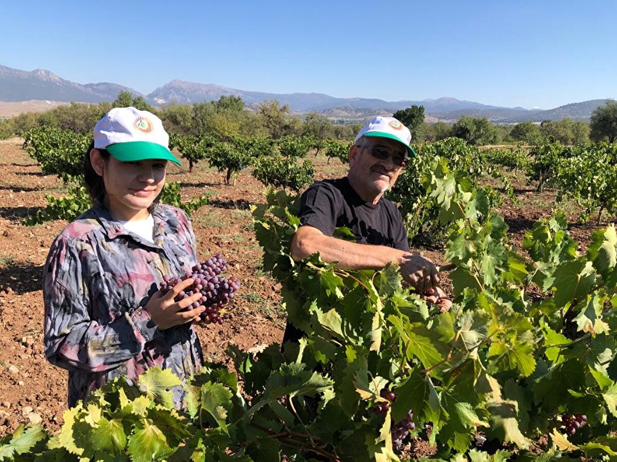 Pekmez üreticilerinden 74 yaşındaki Hilmi Güven, "Dedelerimizden öğrendiğimiz kadarıyla 150-200 yıllık bu maya pekmez toprağını kullanıyoruz. Bizim bağlar, bu maya topraklarının üzerinde yer alıyor. Büyükyaka köyünün pekmezi başka yerlere benzemiyor, geleneksel yöntemle üzüm pekmezi yapmak zorlu bir süreç gerektiriyor" dedi.