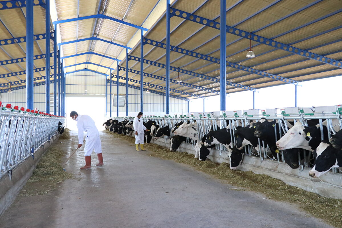 Hayalindeki çiftliğe devlet desteğiyle kavuştuğunu anlatan Tuğrul, emeği geçen herkese teşekkür etti.
