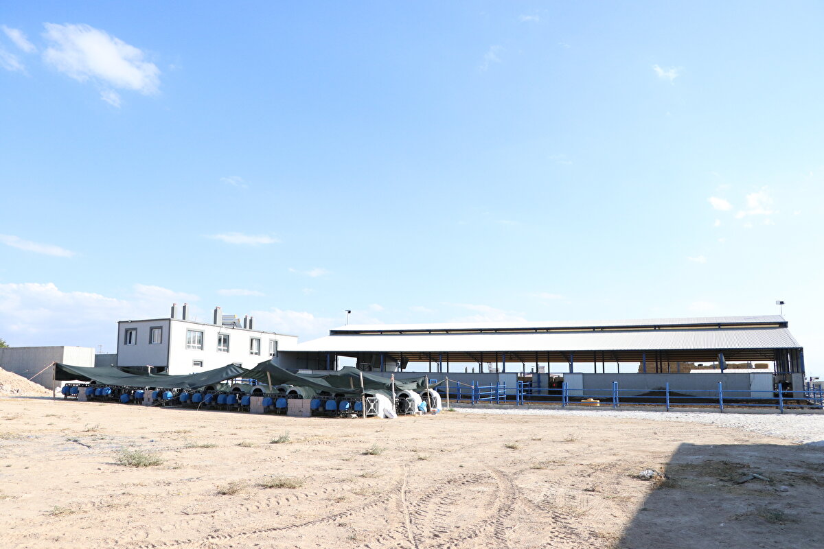 Niğde'nin hayvancılıkta iyi bir konumda olduğunun altını çizen Baş, "Tesis, ilimizin ilk, Türkiye'nin ise ikinci genomik işletmesi. Tesis, yaklaşık 20 bin metrekaresi kapalı olmak üzere 90 dekarlık bir alan içine kurulu. İlimizin en kaliteli sütünün üretildiği bir işletme. Süt verimi, kalitesi, ölçülebilirliği ve kalite kontrolü çok yüksek. Düve satım merkezi olarak planlanıyor" diye konuştu.