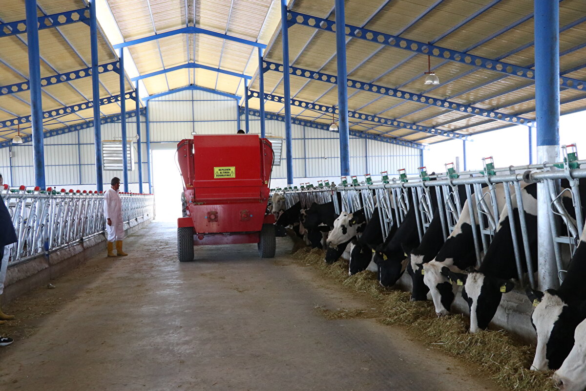 Tuğrul, Avrupa'da hayvancılığın profesyonel şekilde yapıldığını ve gen değerleri yüksek hayvanların ön planda tutulduğunu söyledi.
