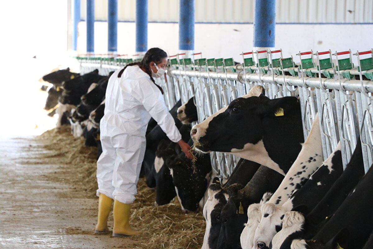 Tarım ve Orman İl Müdürü Asım Baş da tesisin kentin örnek işletmelerinden biri olduğunu dile getirdi.

