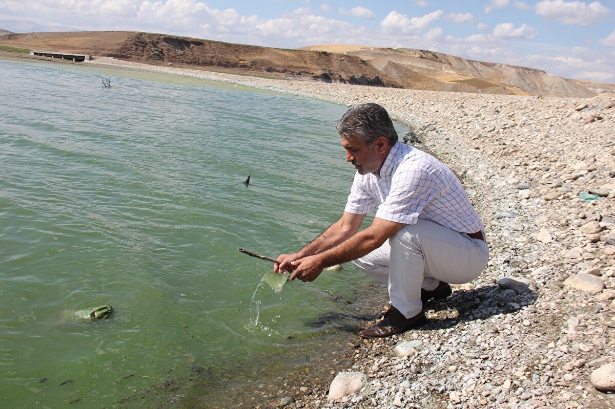 Önceki yıllara göre daha yoğun ve geniş alanı kaplayan yeşil rengin yine ötrofikasyon sonucu oluştuğunu belirten Çevre Mühendisi Bekir Yıldırım, “Kurak geçen mevsimlerden dolayı suyun çekilmesiyle birlikte ötrofikasyon meydana gelmektedir...
