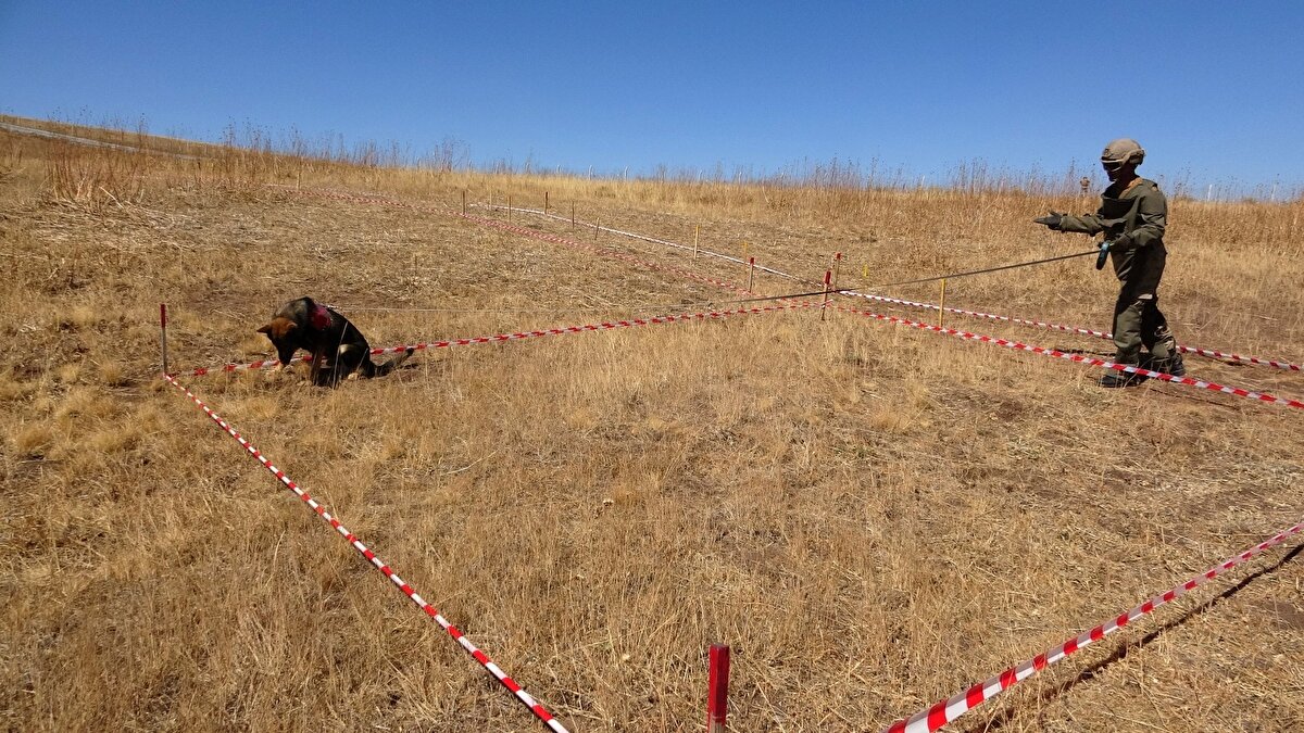 Sınır hattında birinci ve ikinci etaplarda aralıksız şekilde duvar örme çalışmaları yürütülürken, bir taraftan da çalışmaların daha da güvenli yapılması amacıyla özel ekiplerce, bölgedeki mayınlar temizleniyor.
