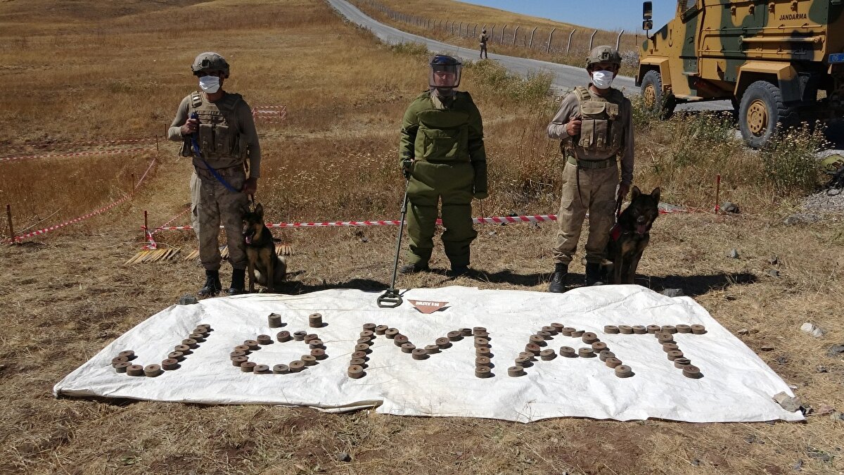 112 sağlık ekiplerinin eşlik ettiği 13'er kişilik 8 ÖMAT timi, sınır ve iç güvenlik bölgelerine çıkarak, özel kıyafetlerini giyip, mayın arama ve imha çalışmaları yürütüyor. Sınır hattında özverili bir çalışma yürüten ekipler, mayınlı sahada ilk etapta keşif yapıyor. Mayınları tespit eden ekipler, daha sonra titiz çalışmanın sonucunda mayını emniyetli bir şekilde etkisiz hale getiriyor.
