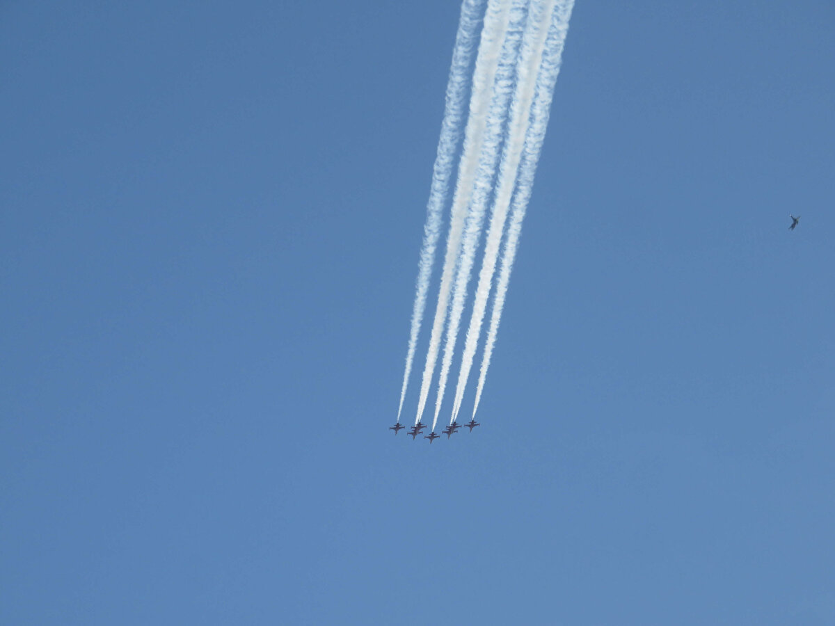 Türk Havacılık ve Uzay Sanayii (TUSAŞ) tarafından geliştirilen ürünlerin sergileneceği TEKNOFEST 2021'de HÜRKUŞ, AKSUNGUR ve GÖKBEY uçuş gösterisi gerçekleştirecek.

