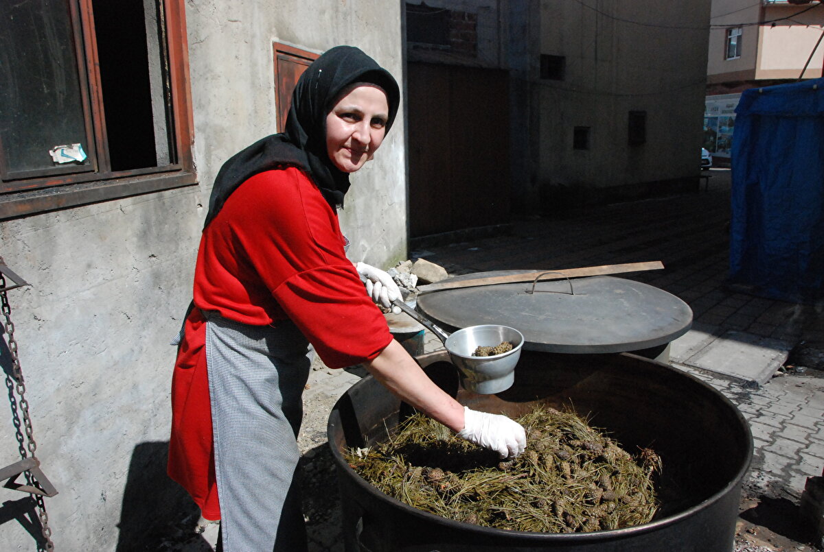 Evinin bahçesindeki kazanlarda kozalak pekmezini pişiren Gülten Özsoy, “Eşim 5 yıl önce KOAH rahatsızlığı yaşıyordu. Televizyonlardaki doktorlardan ve komşularımdan kozalak pekmezinin iyi geldiğini duydum.
