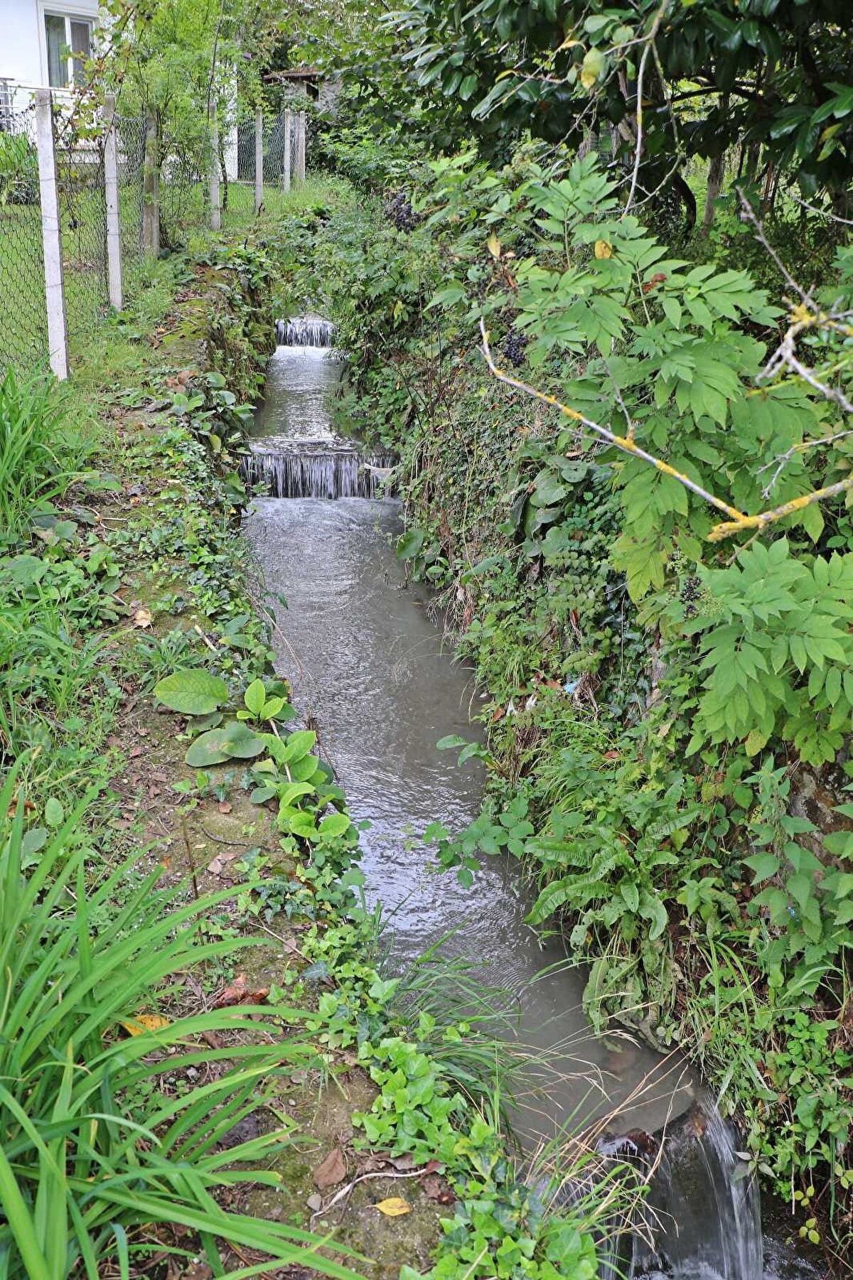 Ejderoğlu, daha önce böyle bir olaya şahit olmadığına da değinerek, Dereyi masmavi görünce bir anda şoka girdik. Görüntü olarak hoş gözüküyor ama içeriği sonuçta kimyasal. O kadar bilgilendirme yapmamıza rağmen vatandaşlarımız bazen bilinçsiz davranabiliyor diye konuştu.
