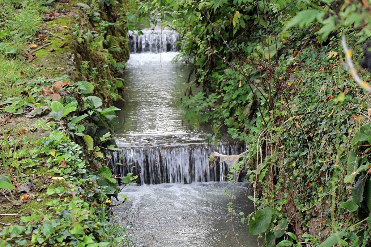 Derenin 20 dakika boyunca masmavi aktığını söyleyen Halil İbrahim Ejderoğlu, Spontane gelişen bir olaydı. Dere 20 dakika boyunca komple mavi aktı. Ne olduğunu ilk etapta çözümleyemedik. Dere boyunca gezdik inceleme yaptık. Önceden çamaşırları temizlemek için kullandığımız mavi çivitler vardı. Bilinçsiz bir vatandaşımız düşünmeden kap kacaklarını derede yıkamış, ondan çıkan çivitler dereyi bu şekle getirdi. Bu şikayetler söz konusu olunca Kocaeli Büyükşehir Belediyesi’ne bağlı İSU’nun ekipleri geldi, tahlilleri, numuneleri aldılar. Onlarla da görüştük, bize bilgi verdiler. Şuanda insan yaşamını, canlı yaşamını tehdit edecek herhangi bir durum söz konusu değil. Deremiz normale döndü. Çok dikkat etmemiz lazım. Dereleri kollamamız lazım dedi.
