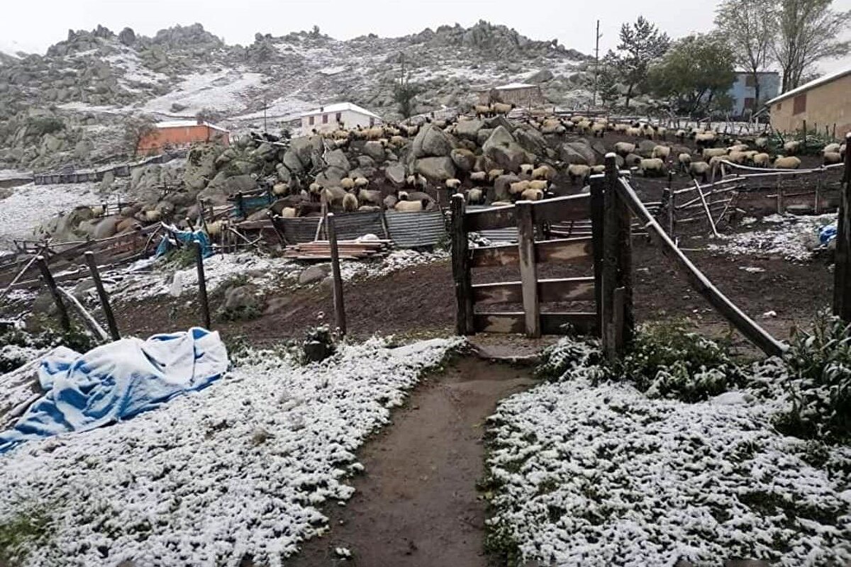 Denizden yüksekliği bin 800 metre ve üzeri olan yaylaların neredeyse tamamı beyaz örtüyle tanışırken yağış en fazla Kürtün ilçesinin yüksek kesimlerinde etkili oldu. 