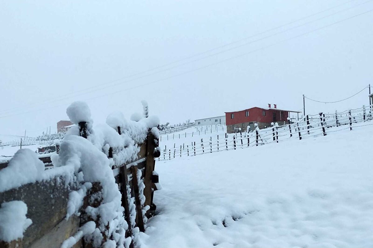 Birkaç gündür soğuk ve yağışlı havanın etkisi altında bulunan Gümüşhane'de yüksek zirveler yılın ilk kar yağışıyla beyaza büründü. 