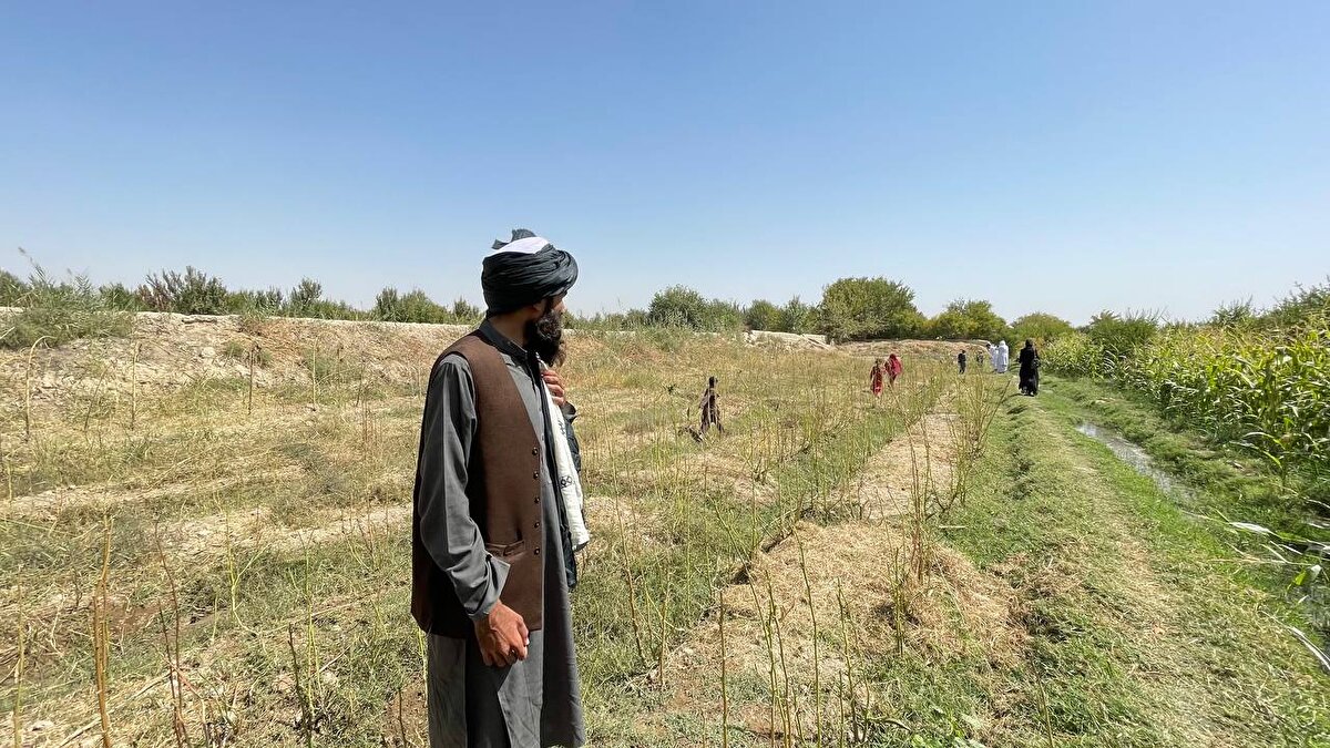 Mücahitlerin sekiz gruba bölündüğünü ve kendilerine ait bölgeleri kontrol altına aldıklarını aktaran Şah Ahund, zamanla söz konusu grupların, halk üzerinde baskıyı artırdığını anımsatarak, Taliban'ın kuruluş sürecini şu şekilde anlattı: Mevlevi Abdul Samad adında bir din alimi benim yanıma gelerek yapılan zulüm karşısında bir şeyler yapılmalı dedi. Böylece ben, Mevlevi Abdul Samad, Mevlevi Abdul Rahman ve iki diğer Mevlevi ile birlikte Molla Ömer'in medresesine bir cuma günü gittik. Kendisine olup bitenleri anlattık ve bir grup kuralım diye danıştık.