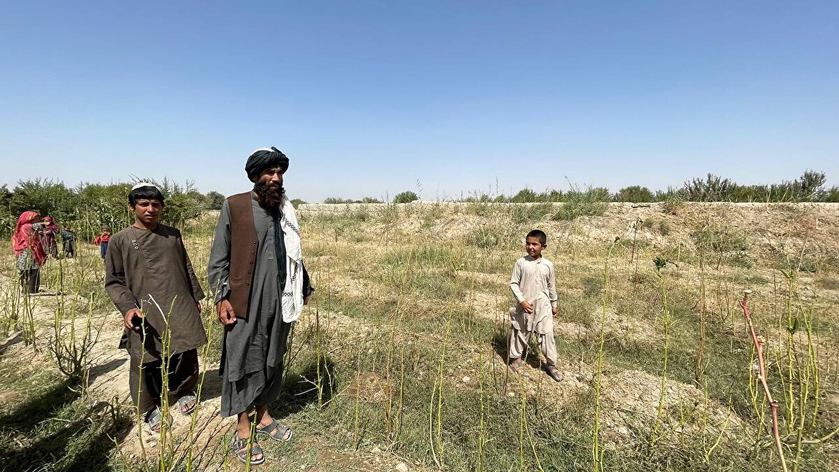 Tolukan köyünde bir medresede din dersleri vermeye devam eden Mevlevi Muhammed Şah Ahund da Molla Ömer'in en yakınlarından biri. Şah Ahund, Taliban'ın kuruluşunda kendisinin de payı olduğunu belirterek, süreci detaylı bir şekilde anlattı. Taliban'ın kurulduğu medresede hocalık yaparken Molla Ömer ile tanışan Şah Ahund, uzun uzun arkadaşı Molla Ömer'in mücahitliğini övdü ve beraber Sovyetlere karşı savaştıklarını ifade etti. O dönemler Sovyetlere karşı kendisinin, Molla Ömer'in ve de diğer cami imamlarının ayrı ayrı cephelerde savaşan gruplarının olduğunu belirten Şah Ahund, bir süre sonra birleştiklerini ve beraber savaşma kararı aldıklarını söyledi. Uzun ve ağır hasarlı çatışmaların ardından Sovyetlerin buradan çekildiğini belirten Şah Ahund, bir süre sonra bölgedeki mücahit grupların paylaşım anlaşmazlığına düştüğünü kaydetti.