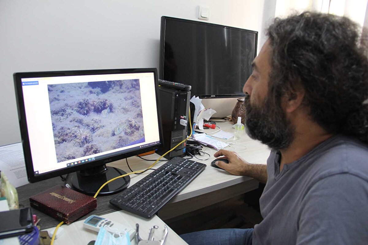 Müsilajla ilgili araştırmalarının da devam ettiğini, şimdi tekrar 'müsilaj oluşuyor mu' diye tüm sahili taramaya başladıklarını kaydeden Ayas, özellikle küçük koy ve körfezlerde müsilajla ilgili bir araştırma projesi başlattıklarını, yoğun bir dalış programıyla müsilajı burada tekrar belgelemek istediklerini vurguladı. 