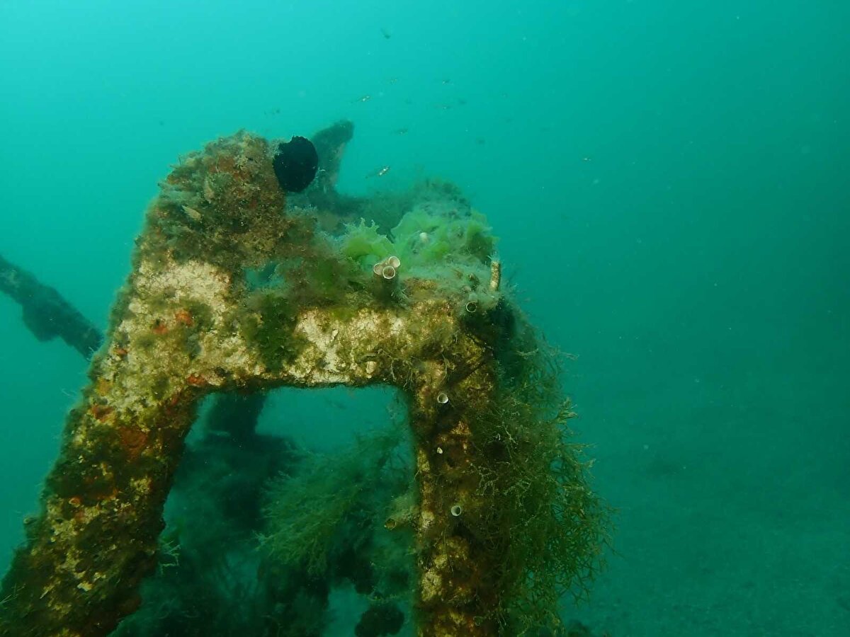 Deniz bilimciler, müsilaj tehlikesine dikkat çekmeye devam ediyor. Marmara Denizini adeta istila etmesiyle Türkiye gündemine oturan müsilajın devam eden bir sorun olduğu uyarısında bulunan bilim insanları, tehlikenin sadece Marmara'yı değil, sahili olan tüm kentlerini kapsadığını belirterek, bir an önce önlem alınması ve eylem planlarının hayata geçirilmesi gerektiğinin altını çiziyor. 