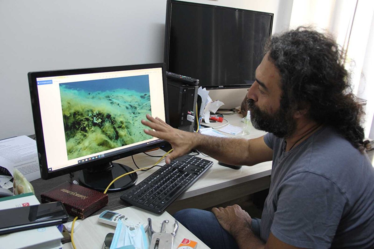 Mersin Üniversitesi (MEÜ) Su Ürünleri Fakültesi İşleme Teknolojisi Anabilim Dalı Öğretim Üyesi Prof. Dr. Deniz Ayas, Mersin'deki müsilaj tehlikesini İHA muhabirine anlattı. Müsilajın devam eden bir sorun olduğunu belirten Prof. Dr. Ayas, “Müsilaj, doğal deniz ekosistemi içerisinde özellikle planktonik canlı gruplarının belli şartlar bir araya geldiğinde sayılarını astronomik düzeyde arttırarak oluşturdukları doğal bir olgu. Bu, Mersin'de de oldu. Eğer ortamda azot, fosfor gibi atıksu deşarjından kaynaklı kirleticiler varsa bunlar uygun şartlar sağlıyor. Özellikle sonbahar ya da ilkbahar başlarında planktonik canlı gurupları sayılarını artırarak doğal bir bileşik olan müsilajı oluşturuyorlar. Mersin sahillerinde kapalı koy ve körfezlerde, akıntı hızının düşük olduğu yerlerde biz müsilajı görüyoruz dedi. 