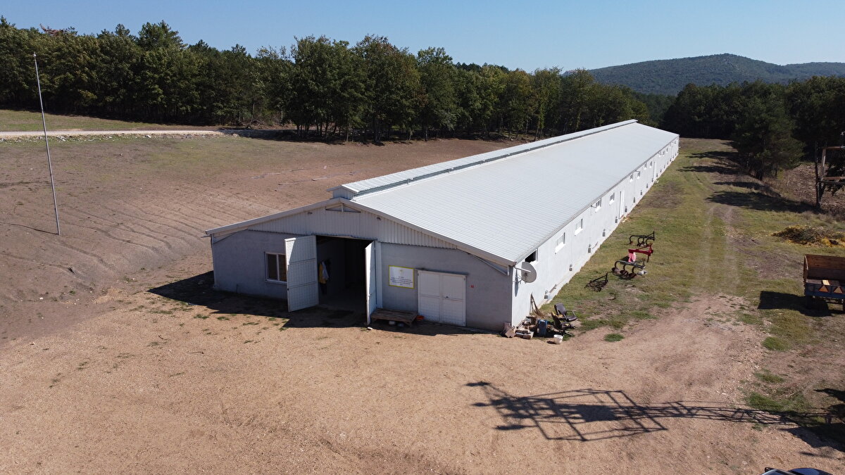 İstanbul'da ailesiyle uzun yıllar ticaret yapan, bazı alışveriş merkezlerinde (AVM) üst düzey yönetici olarak çalışan 35 yaşındaki Eyüp Soydemir'in, 5 yıl önce memleketi Bilecik'te başladığı küçükbaş hayvan yetiştiriciliğiyle ürettiği keçi peyniri ilgi görüyor.