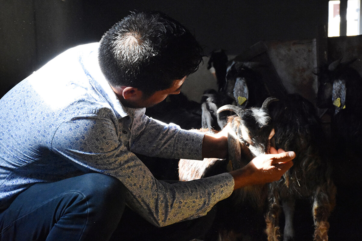 Hayvancılıkla uğraşmanın kendi sağlığına da olumlu etkisinin olduğunu anlatan Soydemir, Bilecik'te 5 yıllık süreçte 23 kilo vererek 80 kiloya düştüğünü belirtti.