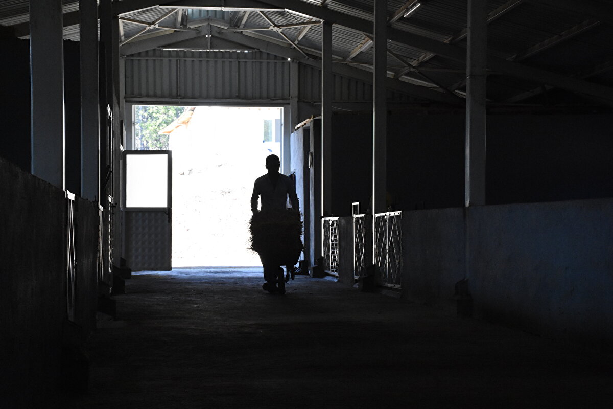 İstanbul'da spor salonunda zayıflamaya çalıştığını aktaran Soydemir, "Şu an benim yediğimi başkası yese 100 kilonun üzerine çıkmamasının ihtimali yok. Benim burada her gün ortalama 25 bin adımım rahat var. Sağlıklı yaşam insanın kendini doğaya bırakmasıyla oluyor." dedi.