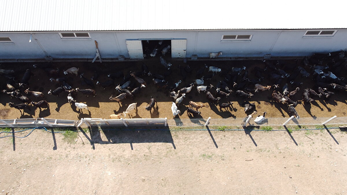 Eyüp Soydemir İstanbul'da yaşadığı dönemde küçük yaşlardan itibaren hem okuyup hem ticaretle uğraştığını, eğitim sonrası ticarete atıldığını söyledi. Uzun süre ticaret yaptıktan sonra AVM'lerde yönetici olarak çalıştığını belirten Soydemir, büyükşehrin kalabalığından sıkıldığı için memleketine göç ettiğini anlattı.