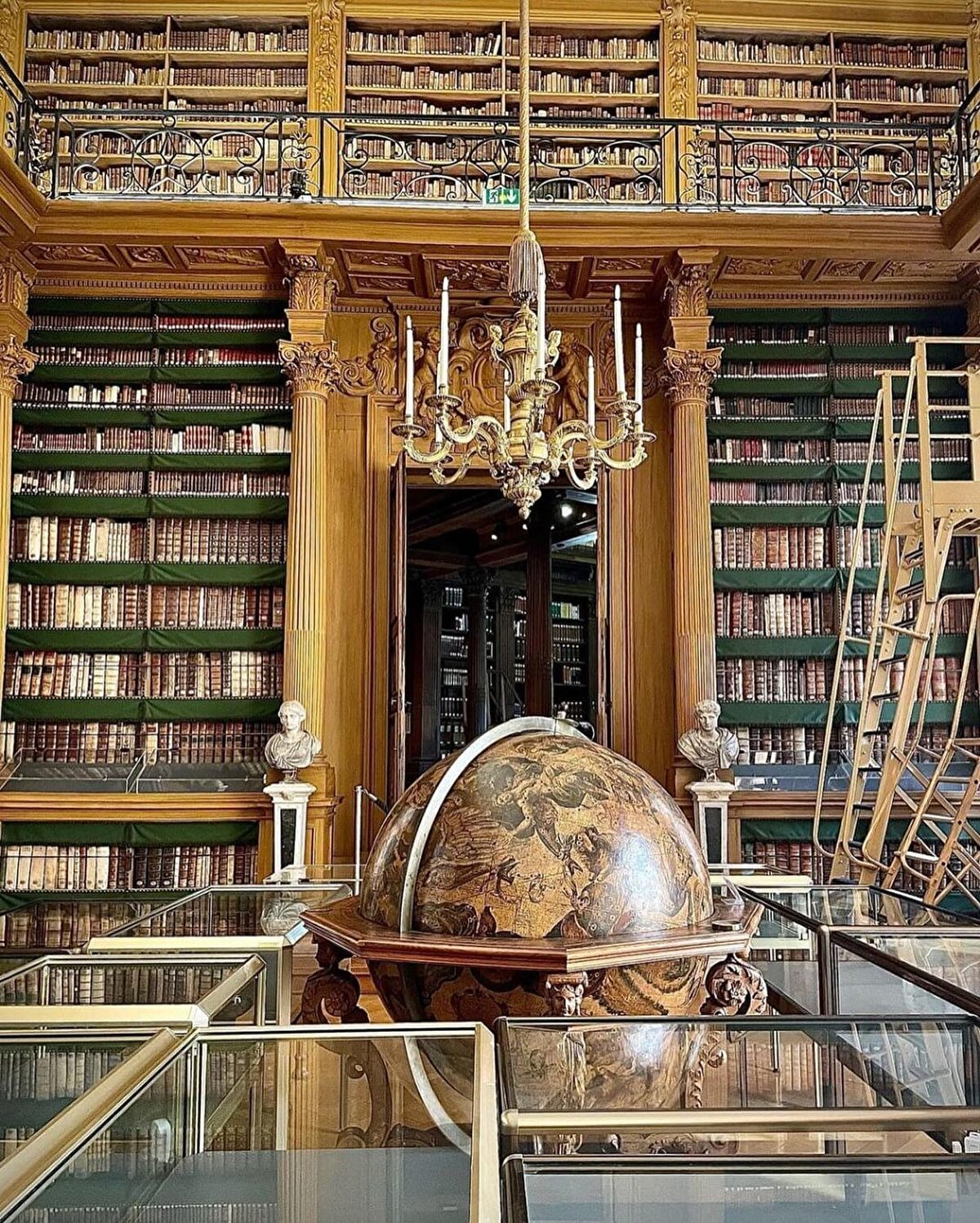 Kitap ve kütüphaneden konu açılmışken bi’ kitap önerisi vermeden buralardan ayrılamayız.