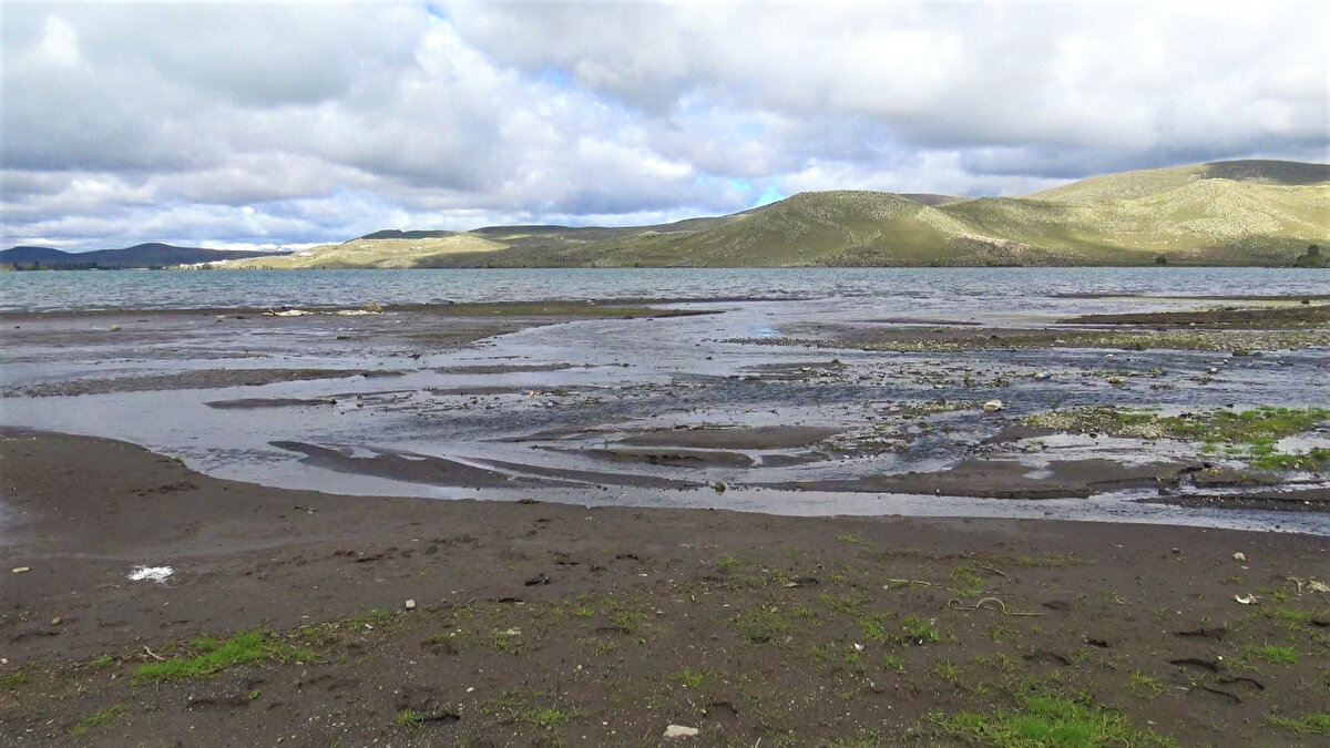Ardahan-Kars sınırlarında yer alan Çıldır Gölü'nün suları, son haftalarda 10 metre kadar çekildi. Göldeki çekilme yöre balıkçılarını da olumsuz etkiledi.
