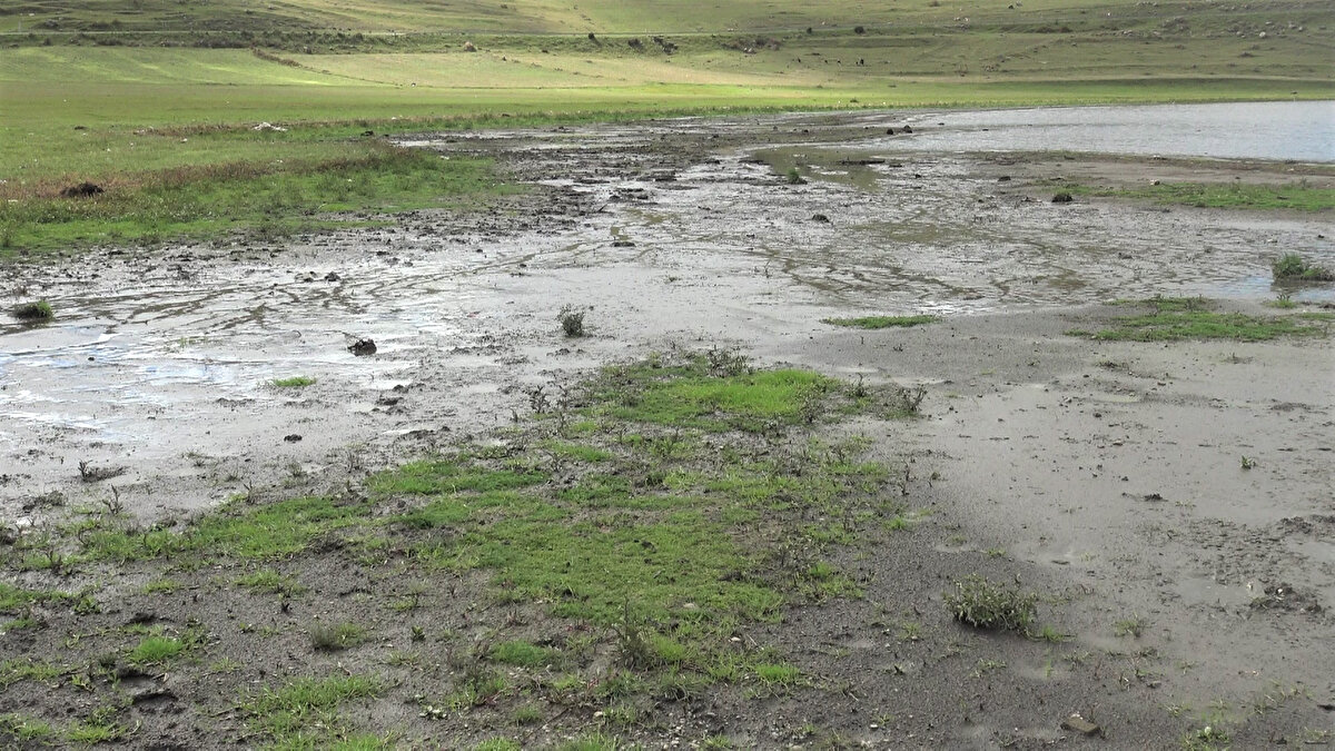 “Çıldır Gölü hem milletimiz için hem ülkemiz için çok önemli bir göl. Burada turizm yapılıyor, bölgede yaşayanların geçim kapısı. 42 yıldır balıkçılıkla uğraşıyorum. Eskiden gölde daha iyi balık vardı. Göl daha temiz ve sular yüksekti, çok iyi balık avlıyorduk. Şimdi gölde kirlenme oldu ve su seviyesi düştü. Artık çok az balık avlayabiliyoruz. Bu durum bizi üzüyor."

