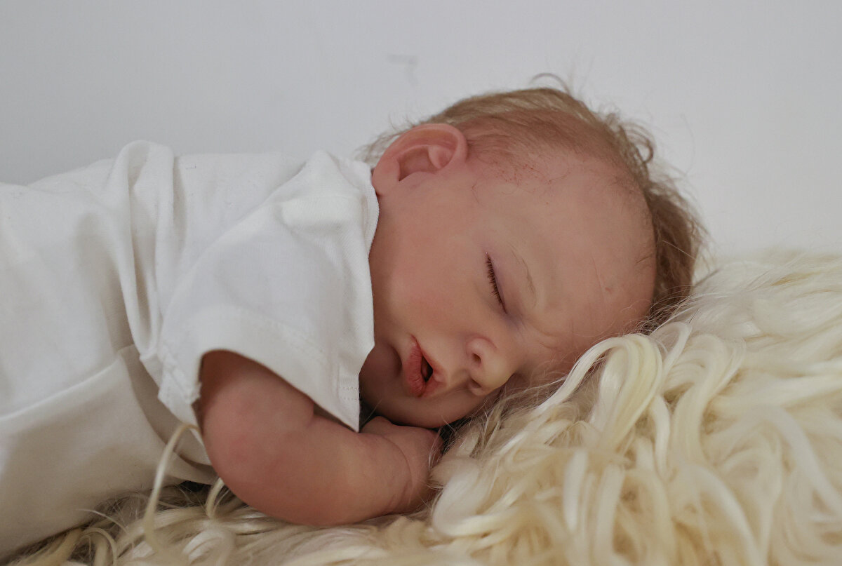 Dünyada öncelikle koleksiyoncuların ilgi alanında olan bu bebekler aynı zamanda dizi, film ve reklam çekimlerinde, alzaymırlı hastaların kendilerini daha iyi hissetmeleri amacıyla, bebeğini kaybeden ya da bebeği olmayan kimi anne ve anne adayları tarafından kullanılıyor.