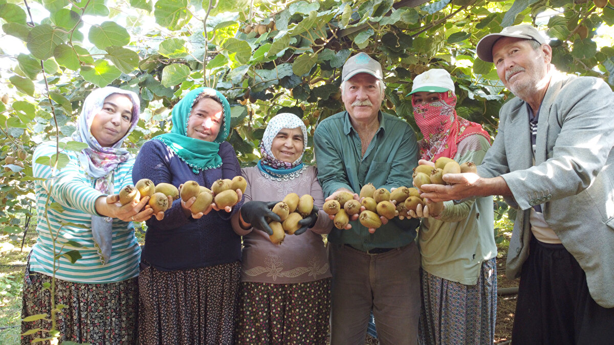 Erdemli Ziraat Odası Meclis Başkanı Aşkın Şahin, kivi yetiştirilemez denilen bir bölgede yöre üreticisinin yüksek kaliteli kivi üretmeyi başardığını, yakalanan kalite sayesinde de ihracat kapısının aralanıp yüzlerin güldüğünü belirtti.
