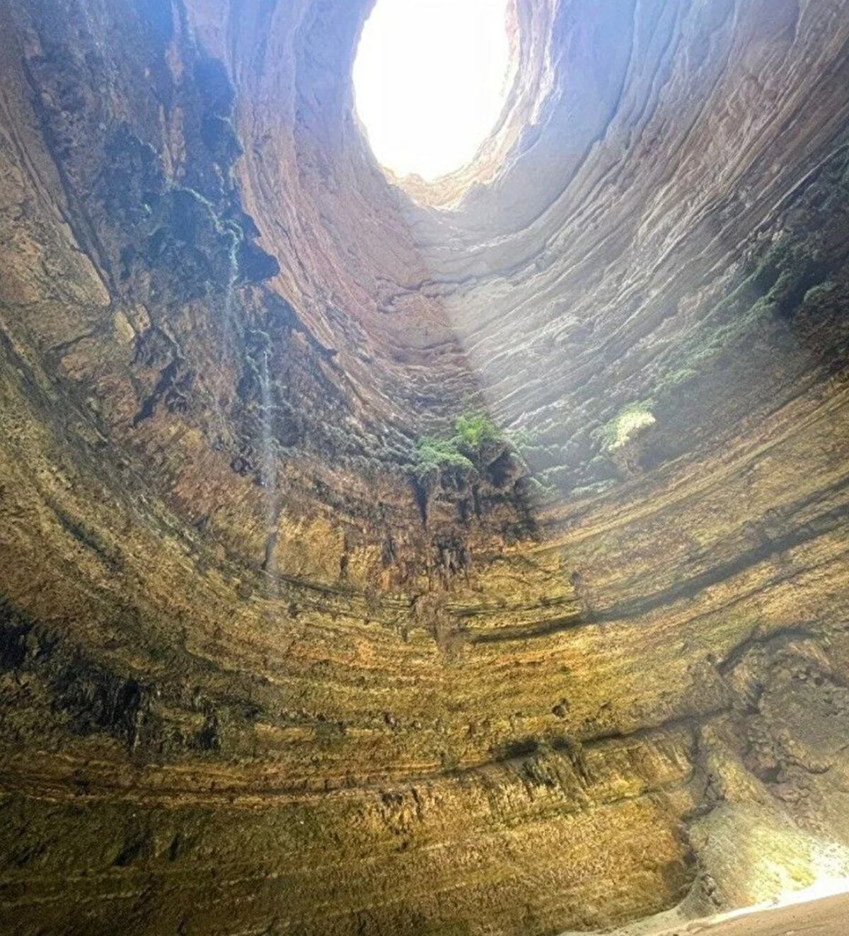 Araştırmacılar, resmi adı Berehut Kuyusu olan obrukta yılanlar, kurbağalar, böcekler, ölü hayvanlar; mağara incileri ve dikitler bulunduğunu açıkladı. Live Science'ın aktardığına göre dikitlerin bazıları 9 metre uzunluğa ulaşıyordu.