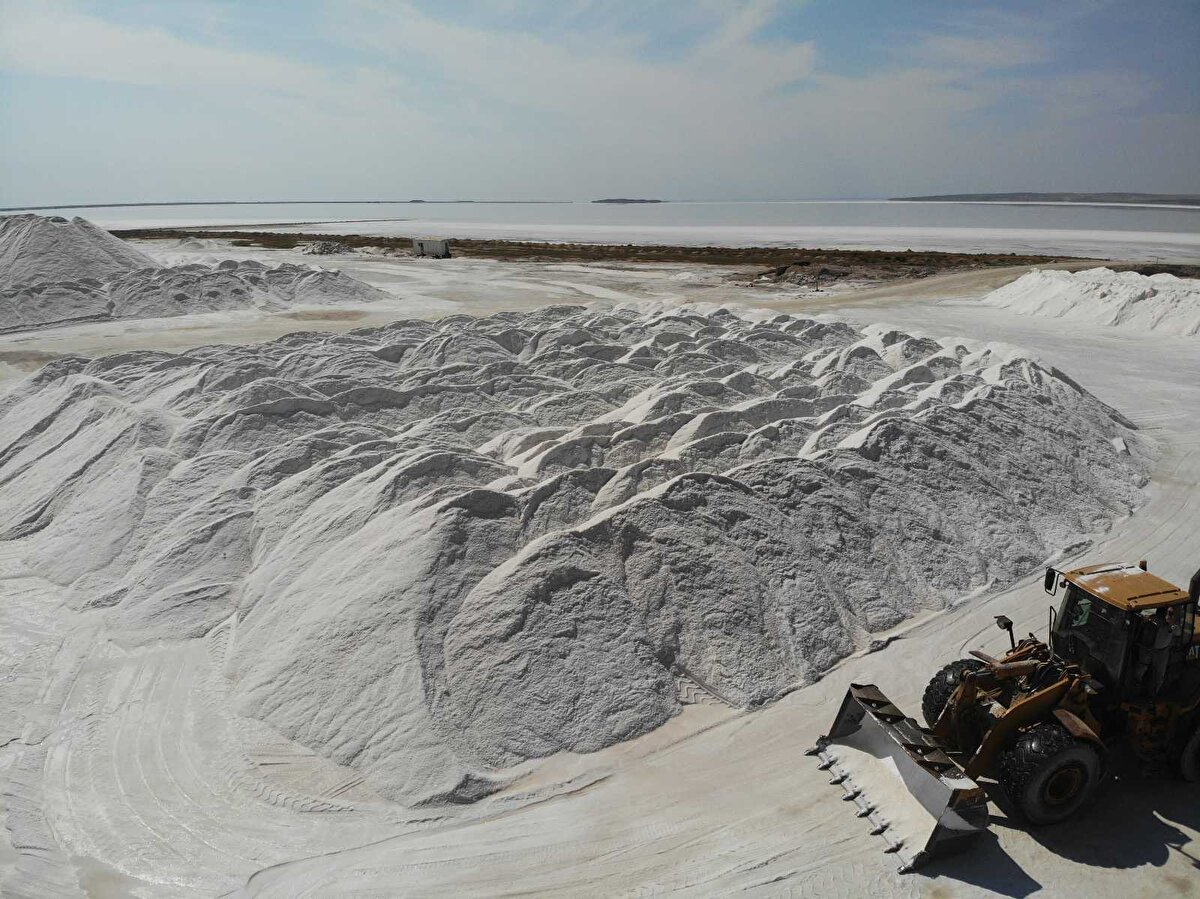 Gıda sektörünün yanı sıra deterjan sektöründeki işletmelere de ihracat yaptıklarını anlatan Çetiner, “Başta tuzu gıda pazarına yönelik sunuyorduk.  Piyasadaki global firmalardan bir çoğunun ana tedarikçisiyiz. Tuz şu an deterjanın ham maddesi olarak tüm dünyada kullanılıyor. Çıkarttığımız tuzu taleplere göre müşterilere gönderiyoruz” dedi.

