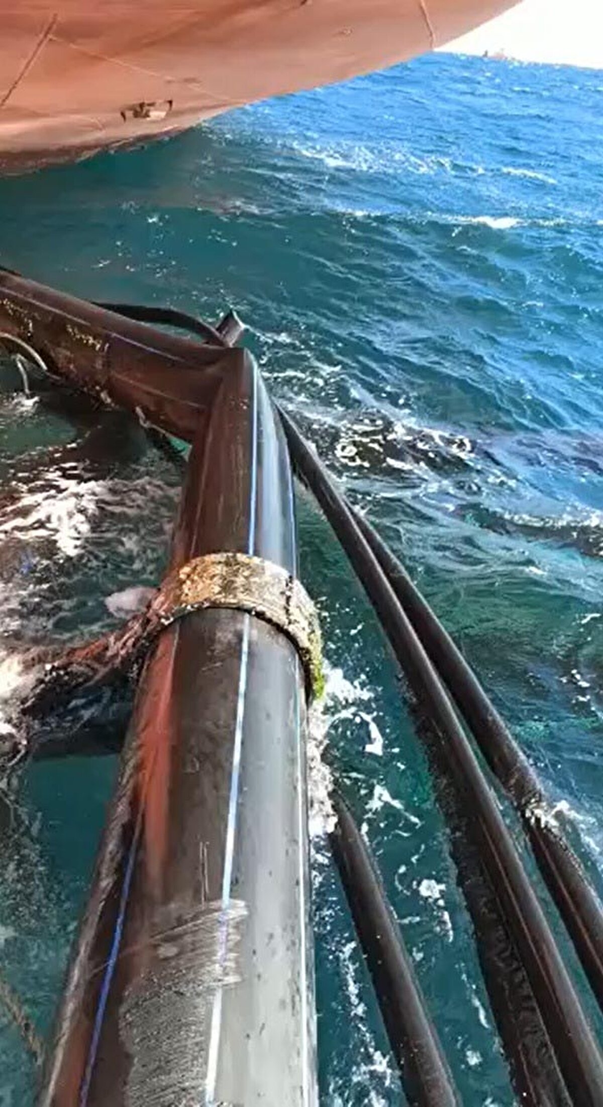 Şirket yetkilisi ise, "Aliağa'dan Güllük'e feldspat madeni yüklemek için gelen gemi havuzlarımıza çarptı. 3 çipura havuzumuzdan 1'i parçalandı, 2' si zarar gördü. 575 gram ağırlığındaki 750 bin balığımız denize kaçtı. 20 milyon lira zararımız var" dedi.

