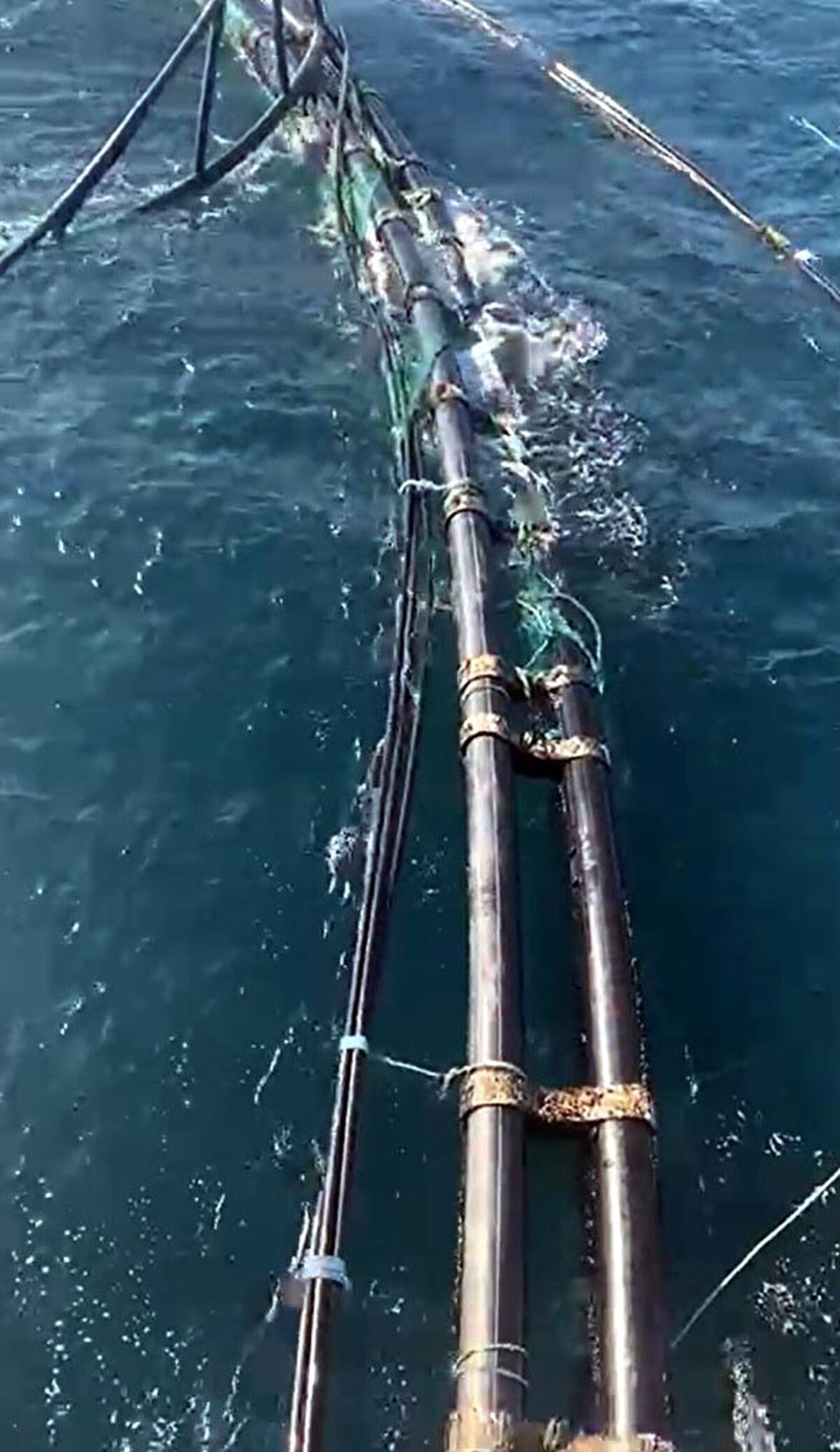 Sahil Güvenlik ekipleri, olayla ilgili olarak geminin kaptanı ile iki yardımcısının ifadesine başvurdu.

Kazanın dikkatsizlik ve tedbirsizlikten meydana geldiği düşünülüyor.

