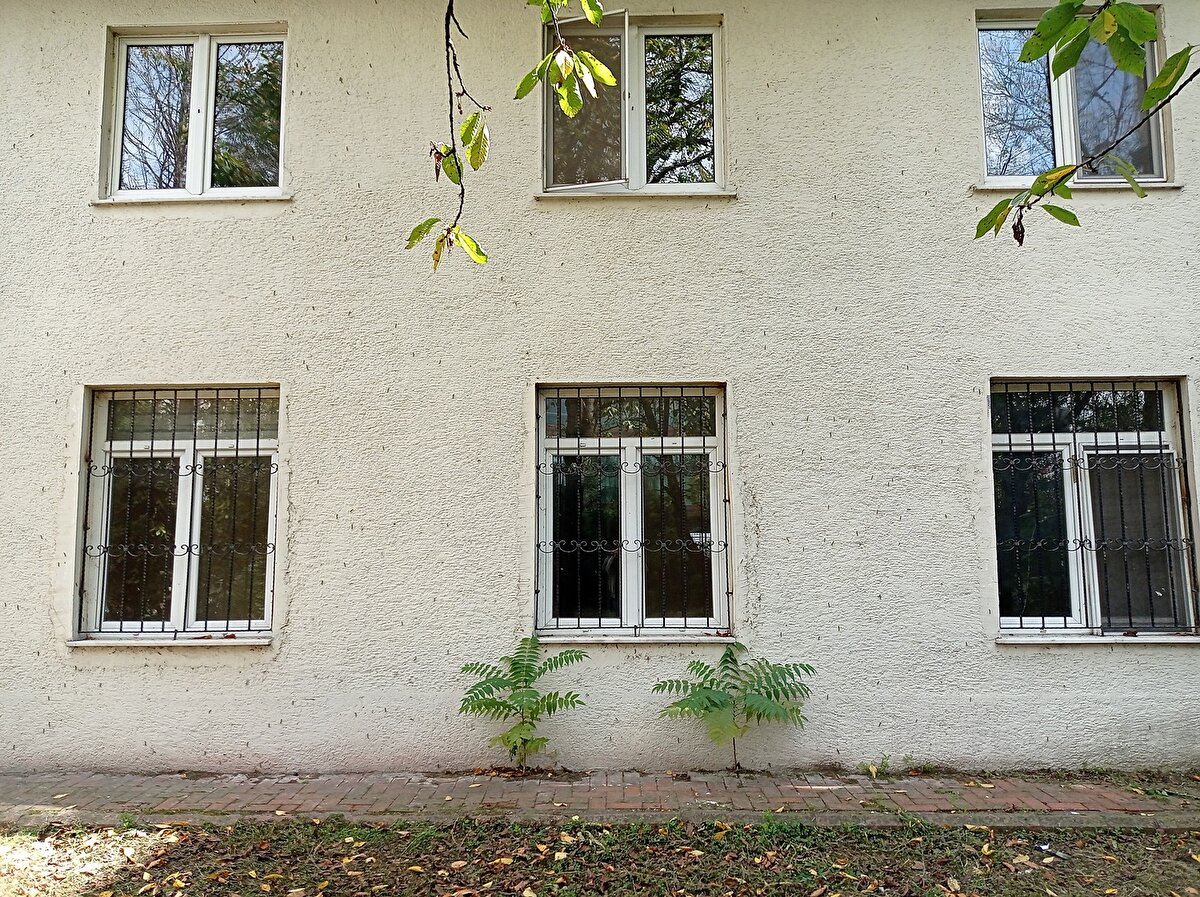 Tırtıllar etrafta bulunan ağaçlardan geliyor. Evlerin içine kadar giriyorlar. İlaçlıyorlar yine geliyorlar. Bir faydası yok. Tırtıl istilası diyebiliriz. Her yerimiz tırtıl oldu. Bir çare bulunmasını istiyoruz dedi. 