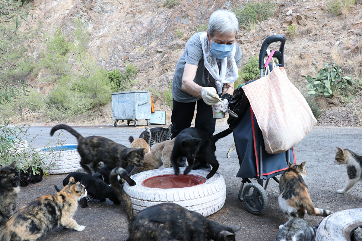 Her sabah sokak hayvanları için evinden çıkan Gürgün, önce apartmanın etrafındaki, ardından sokağındaki sonra da mahalledeki kedilere kendi imkanıyla satın aldığı mamaları dağıtıyor.