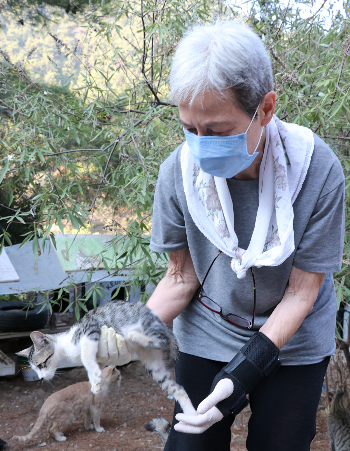 Kedileri eliyle besleyen Gürgün, şöyle konuştu: Çoğu insan bu mamaları birileri veriyor biz de dağıtıyormuşuz gibi algılıyor ama kesinlikle öyle bir şey yok. Emekli maaşımla alıyorum. Başladığımdan beri hep aynı yerden mama alıyorum. Sokak hayvanlarını çok seviyorum, ömrümü onlara adadım.